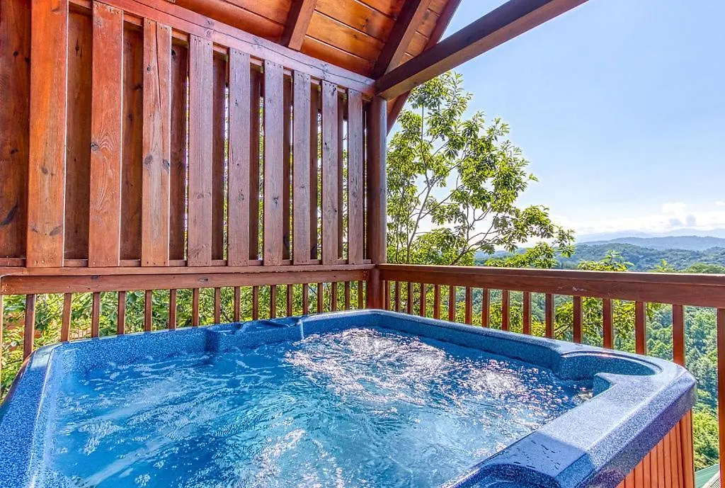A Higher Calling, 1089 Of Free Area Attraction Tickets For Each Paid Day, Dollywood And More! *