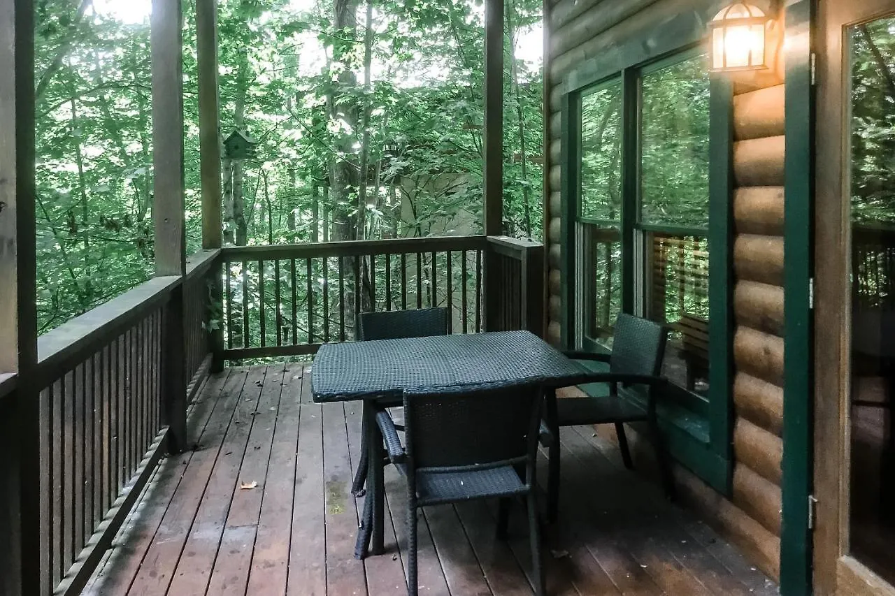 Holly Berry * Pigeon Forge