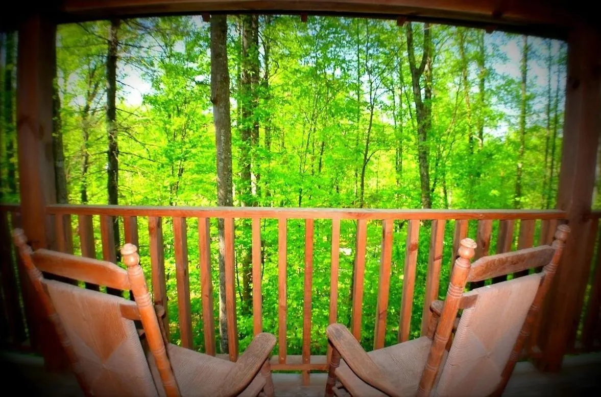 Priscilla Heights Lane 3301 Prázdninový dům Pigeon Forge