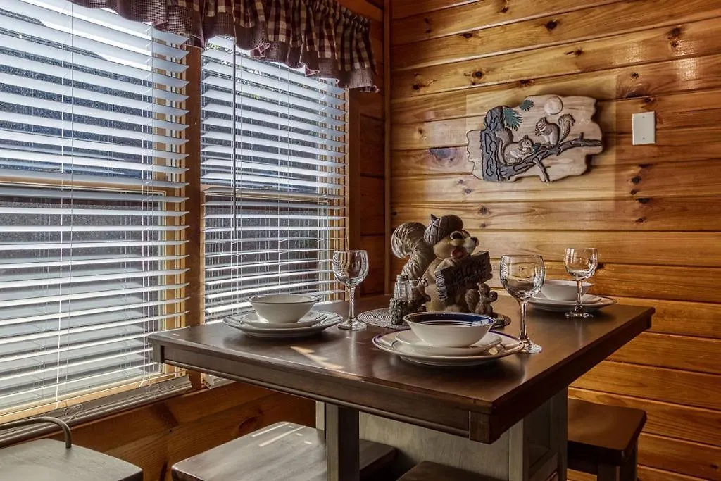 The Nut House, Hot Tub, Game Room, Wifi, 1089 Free Tickets Each Paid Day, Dollywood And More! Nyaraló *