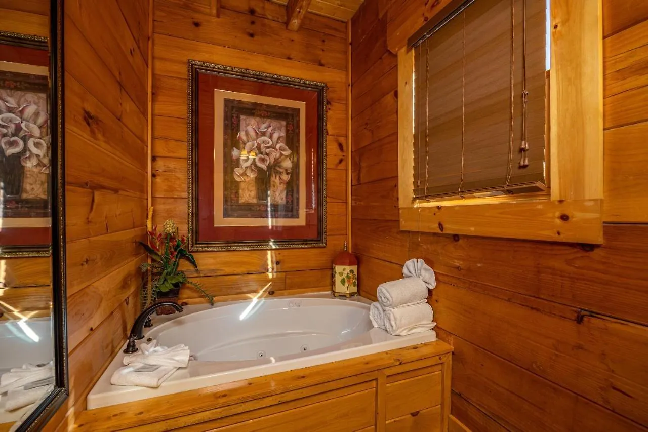 Picture Perfect Sevierville