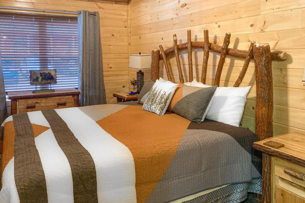 The Lazy Bear Holiday home Pigeon Forge