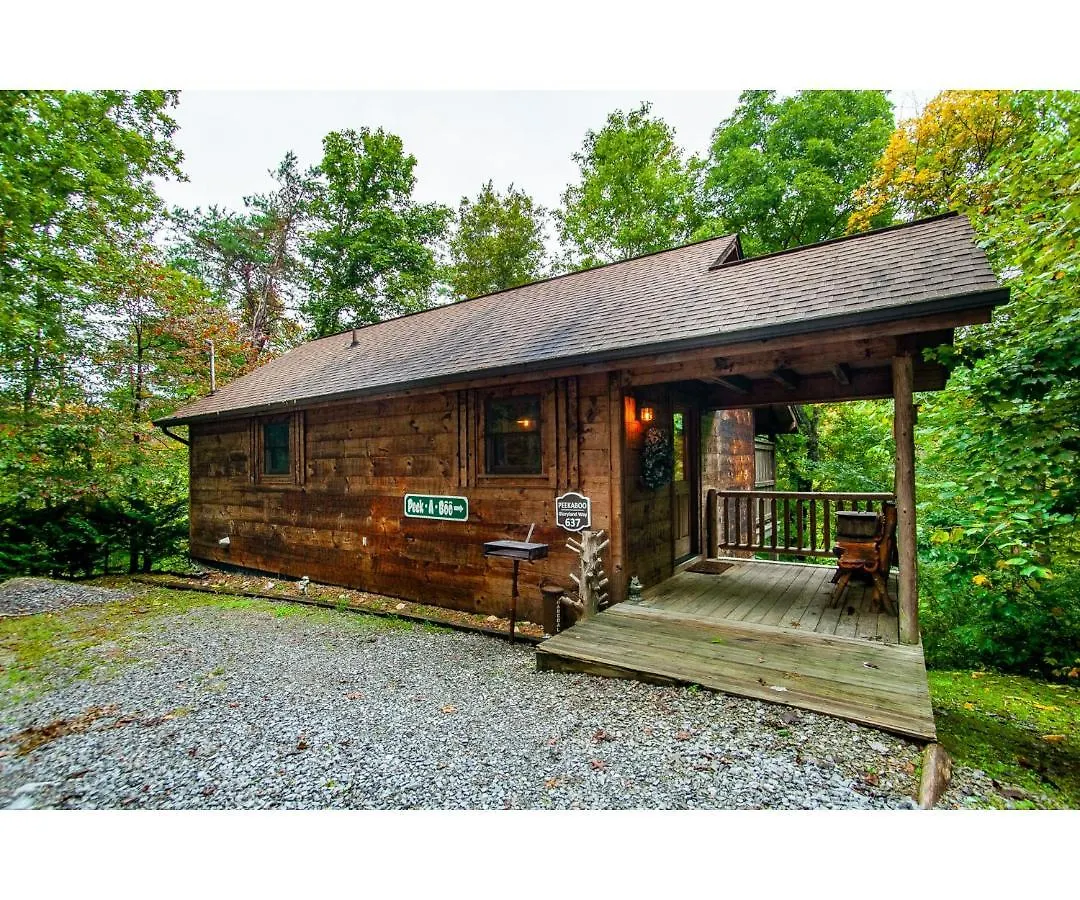 Peekaboo With Hot Tub, Pool Table, And Jacuzzi Holiday home Pigeon Forge