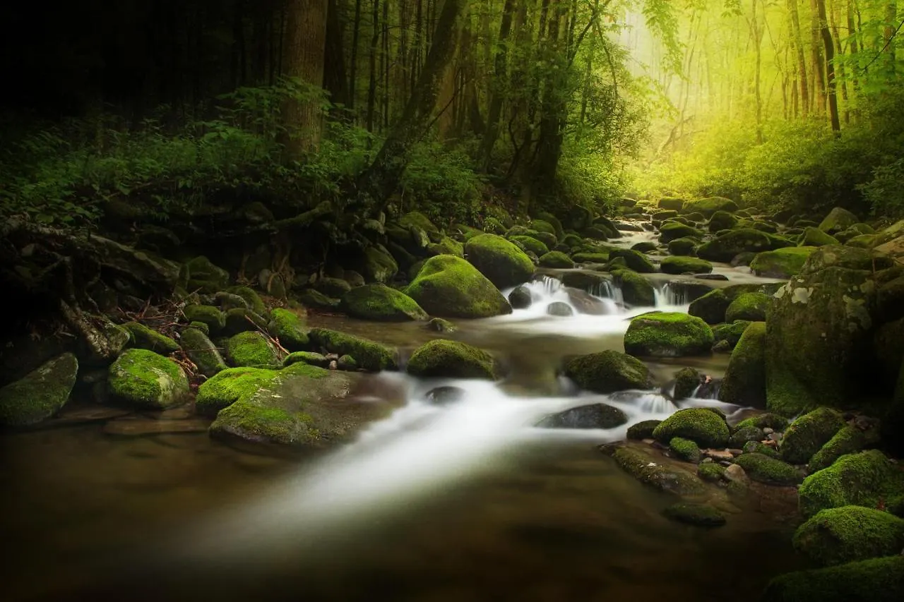 Semesterbostad Bear Cove Falls