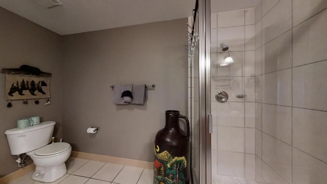 A Bear's Hibernation Apartment *