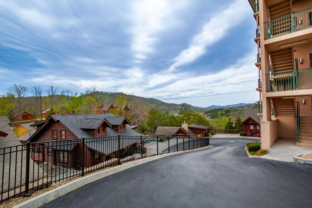 The Bear Paw Palace Mtn View And Community Pools