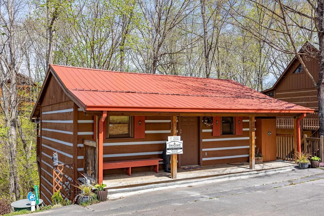 Cozy Bears Pigeon Forge