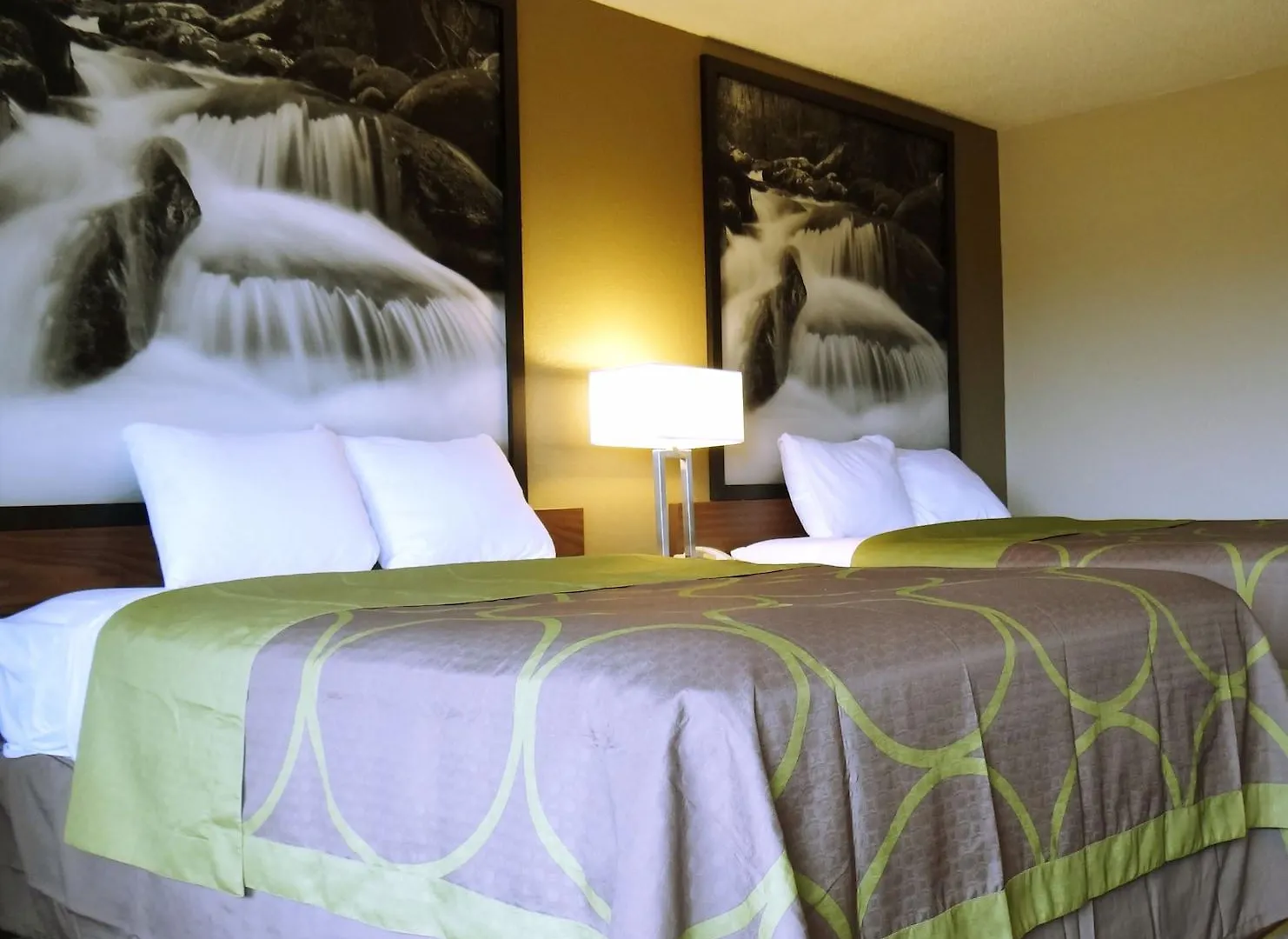Super 8 By Wyndham Pigeon Forge-emert St Hotel 3*