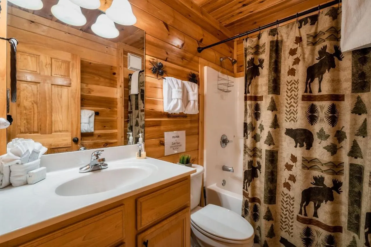 Glow In Dark, Nerf War, 360 View, Theater, Hottub, Games Holiday home Pigeon Forge