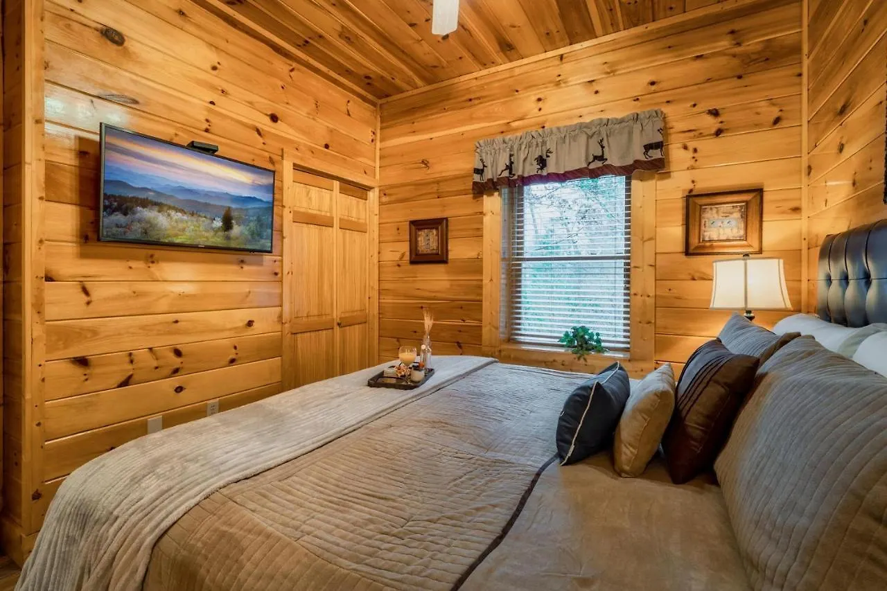 Holiday home Glow In Dark, Nerf War, 360 View, Theater, Hottub, Games Pigeon Forge