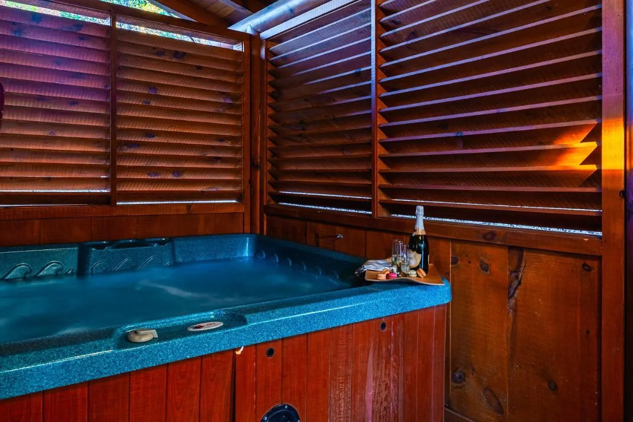 Holiday home Glow In Dark, Nerf War, 360 View, Theater, Hottub, Games *