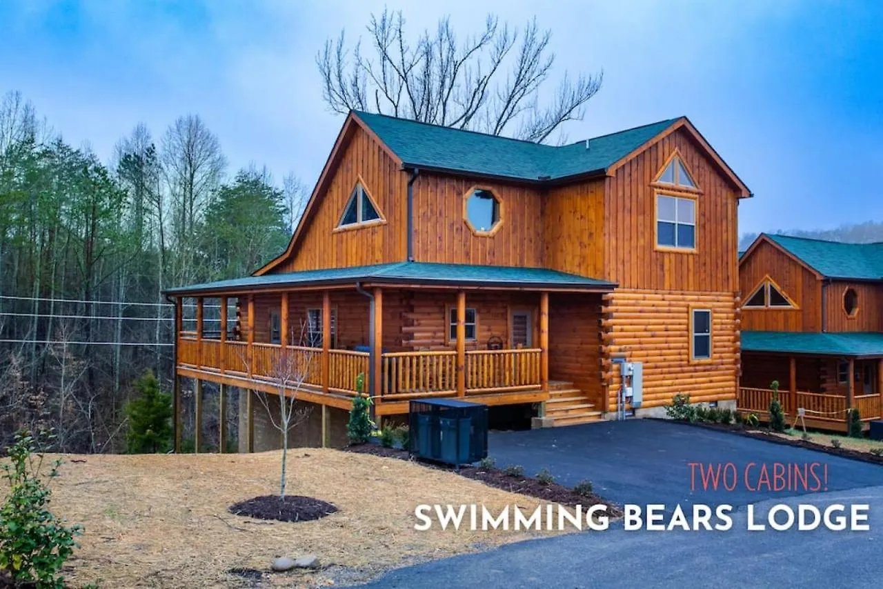Swimming Bears Two With Pools And Hottubs Pigeon Forge
