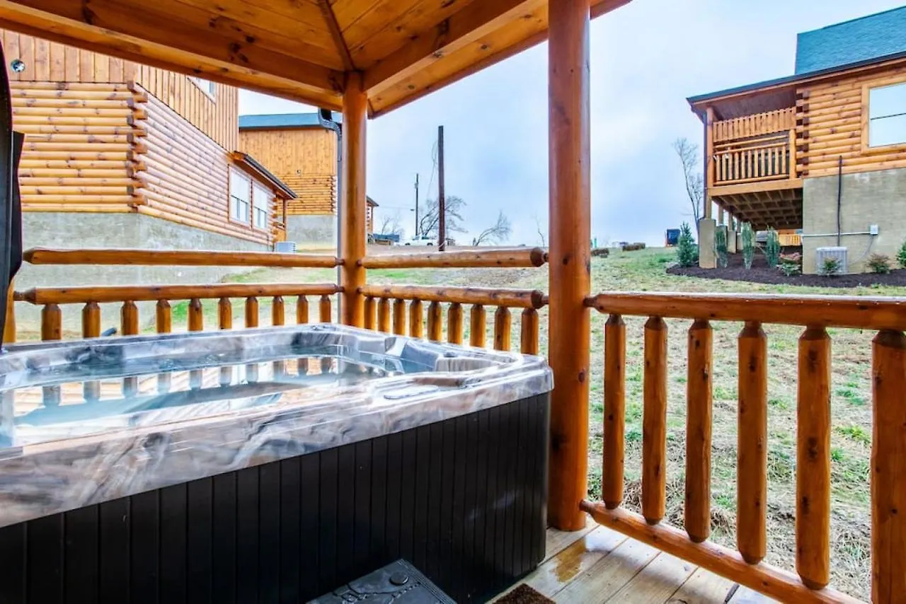 Swimming Bears Two With Pools And Hottubs *
