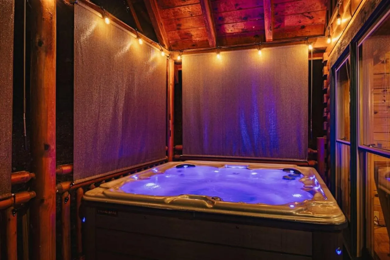 Bear Down With Hot Tub, Pool Table, Arcade Games