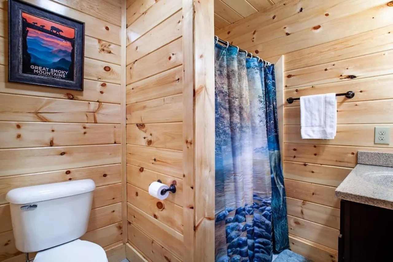 Swimming Bears Two With Pools And Hottubs Holiday home *