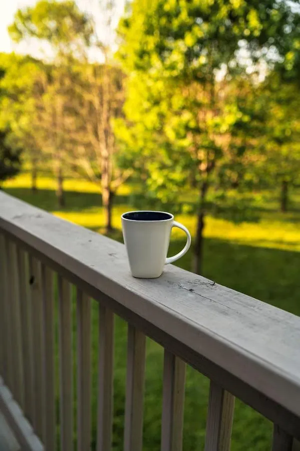 High N Dry-quiet River Access Neighborhood, 1 Mile To Parkway, 5 Miles To Dollywood! *