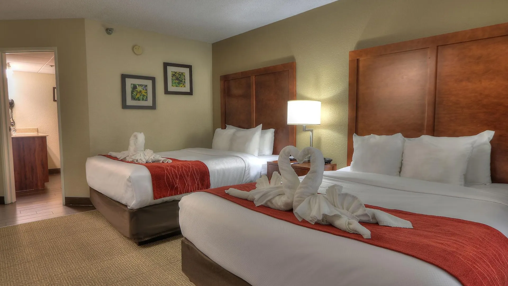 Comfort & At Dollywood Lane Pigeon Forge