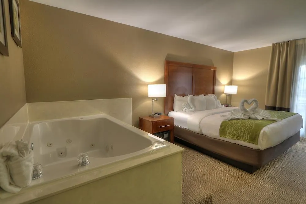 Comfort & At Dollywood Lane