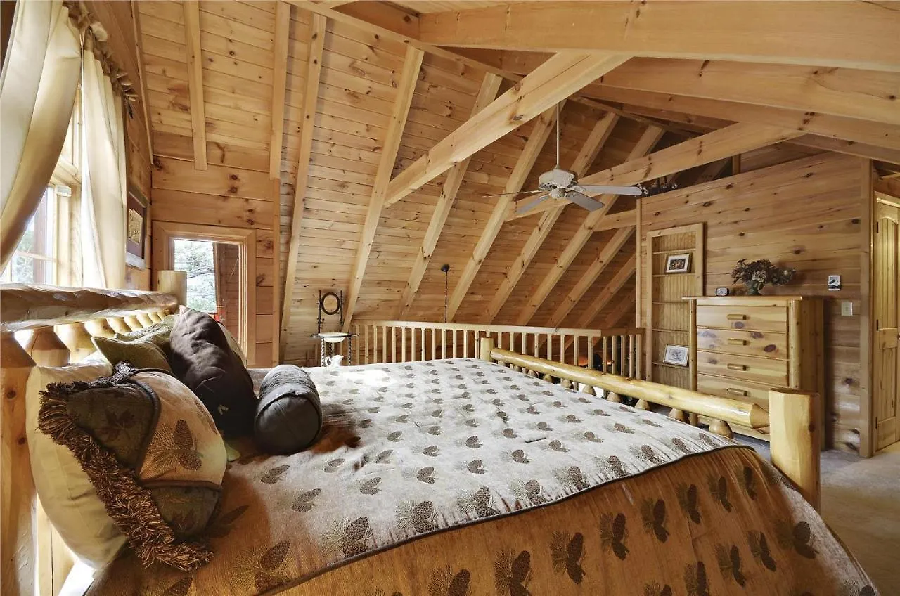 Above The Rest Holiday home Pigeon Forge