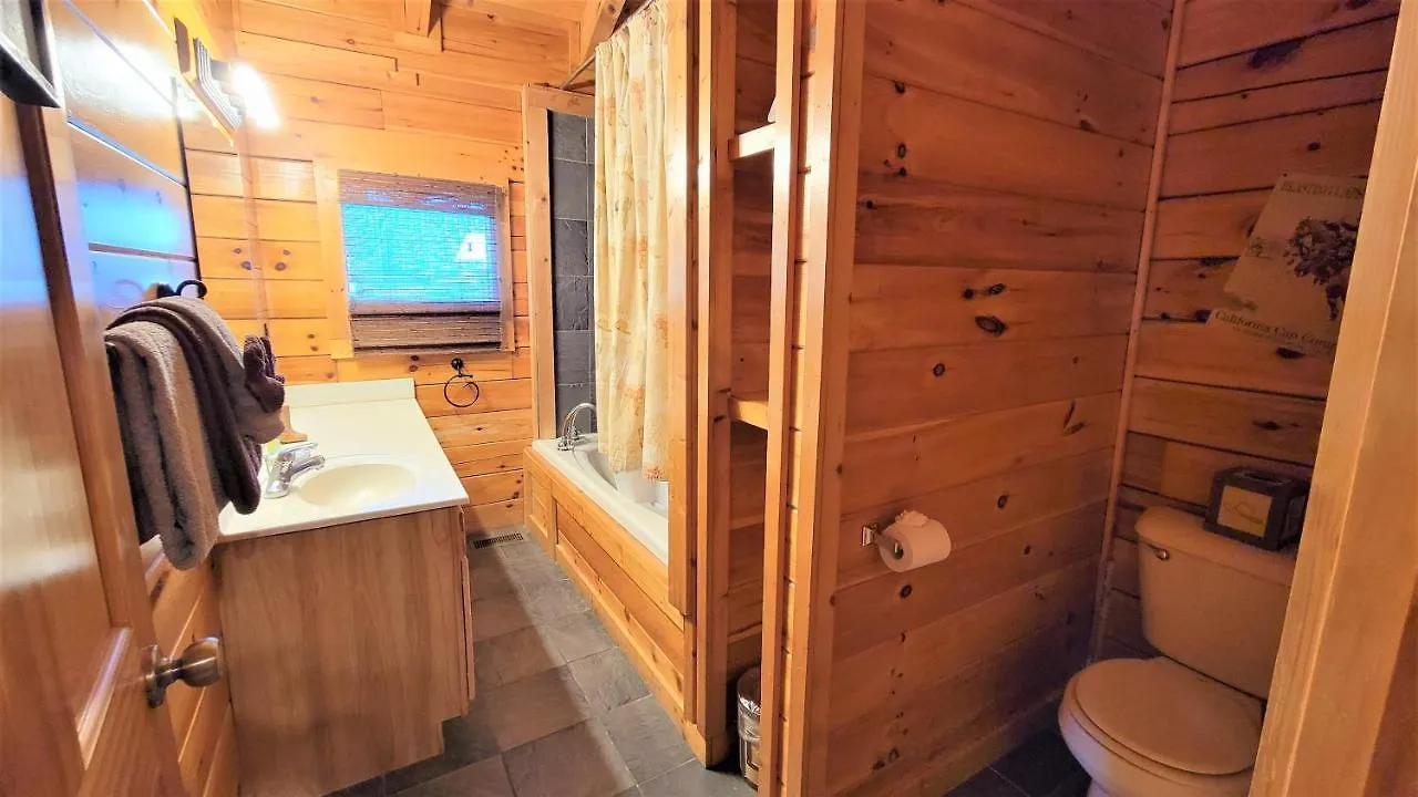 Hanky Panky-1 Bedroom On The River Pet Friendly With Fee Free Activity Tickets! Holiday home Pigeon Forge