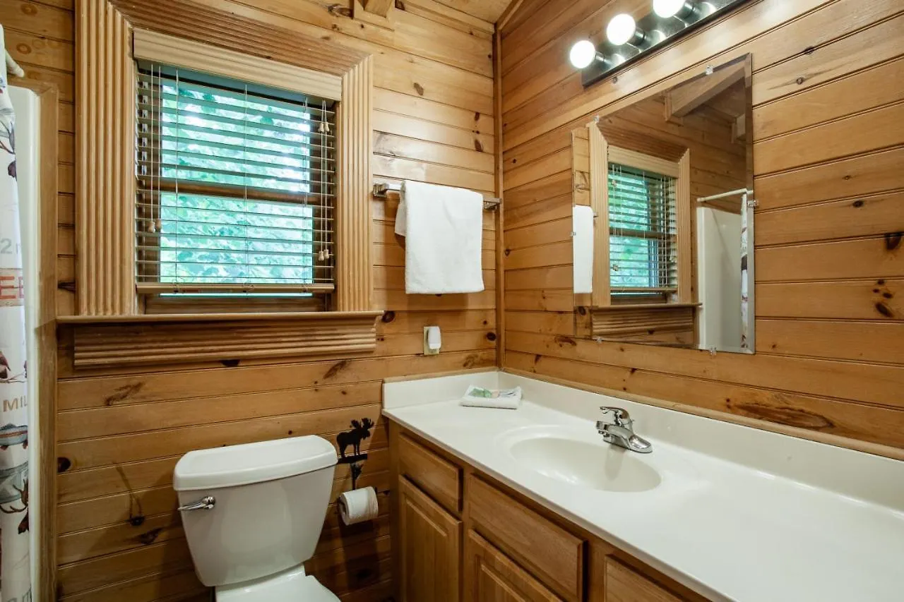 The Alpenhaus Hot Tub Game And Fireplace