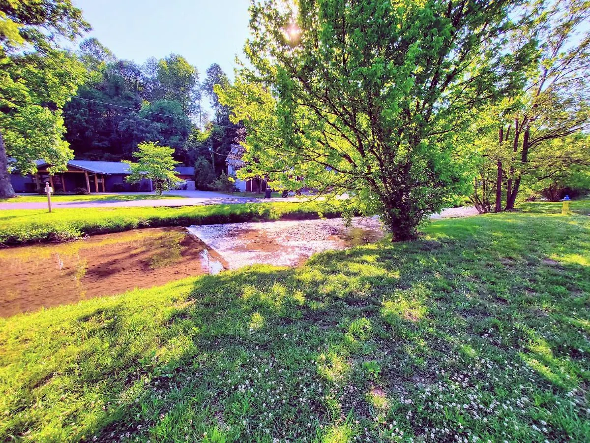 Mountain Stream