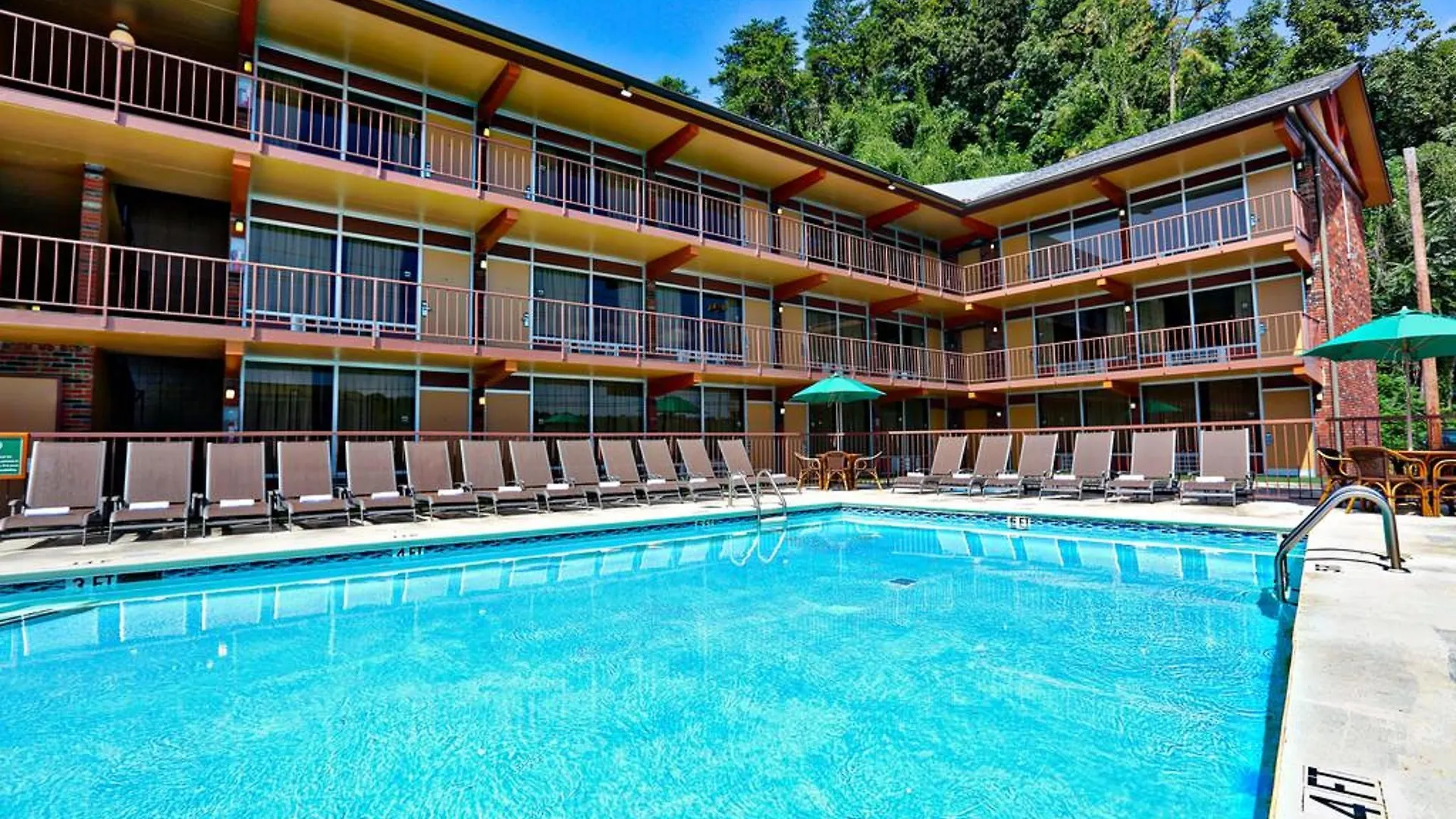 Motel Wild Bear
