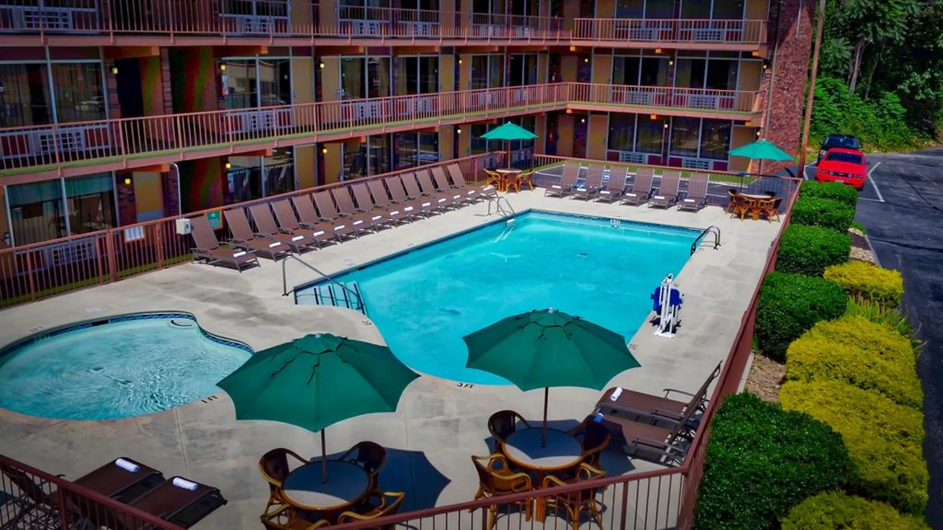 Wild Bear Motel
