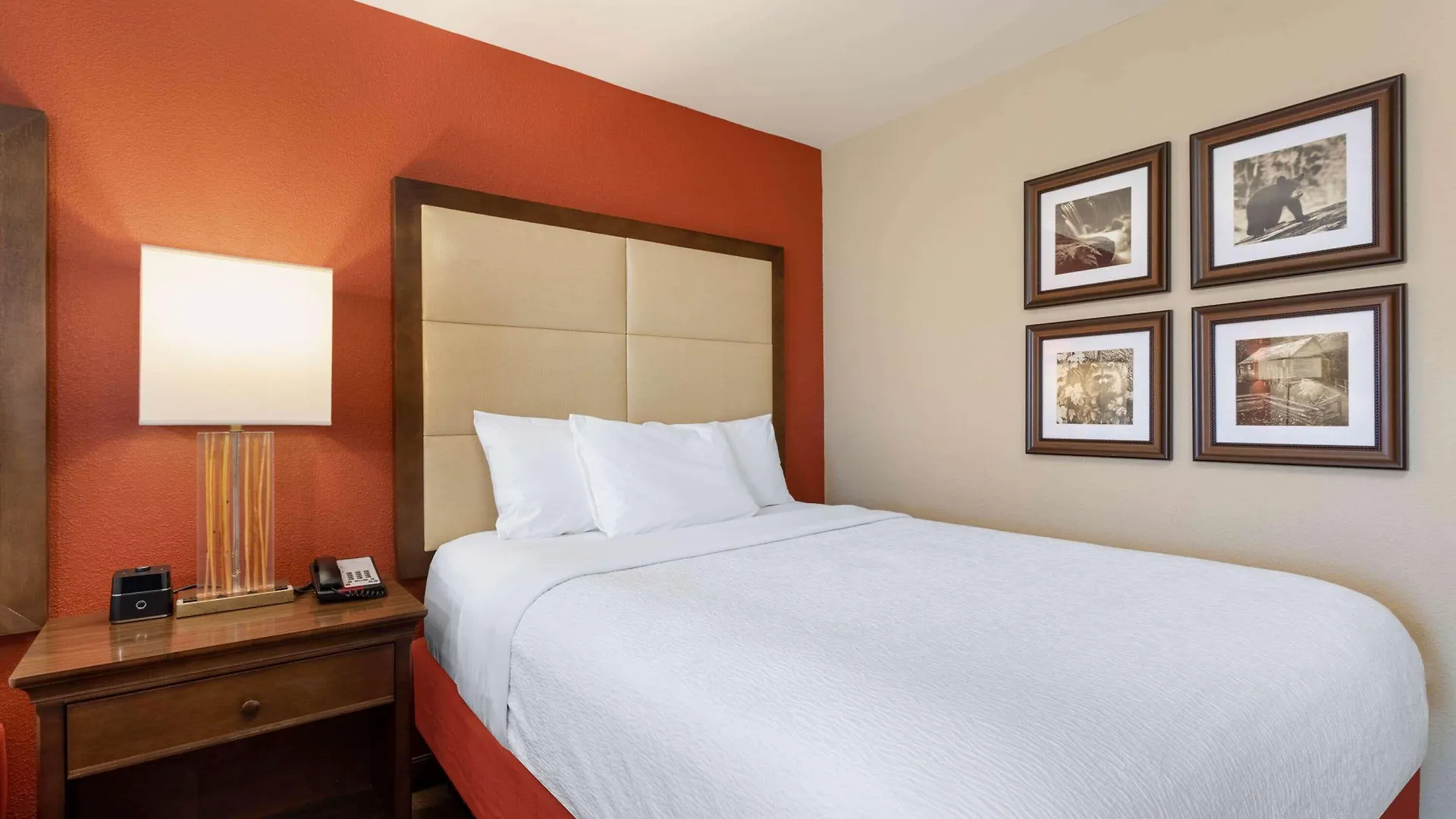 Hotel La Quinta By Wyndham Pigeon Forge