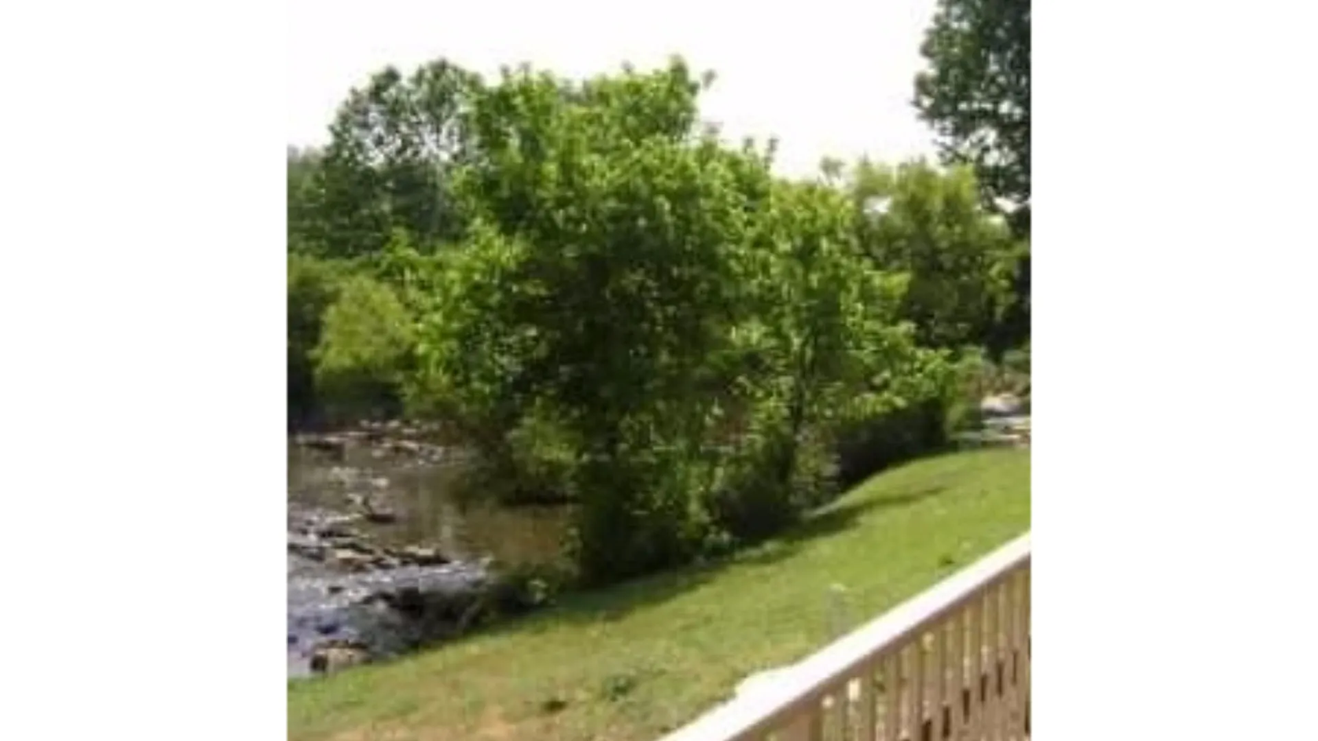 Hotel Econo Pigeon Forge