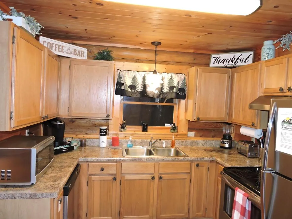 Ferienhaus Bear Nakid Pigeon Forge