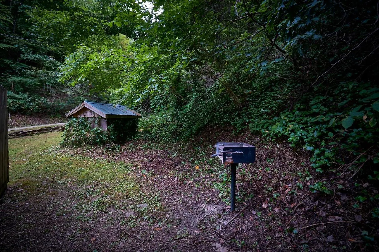 A In The Woods