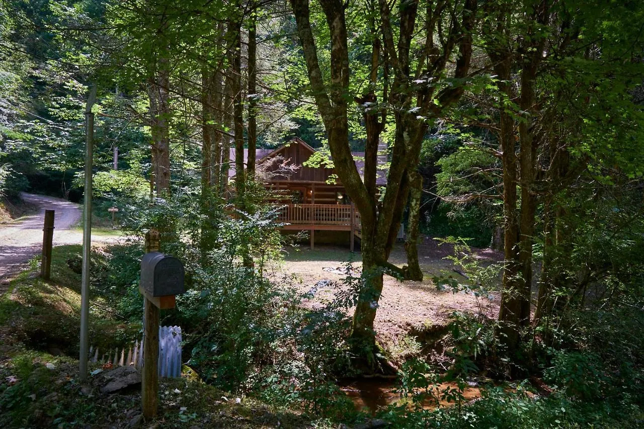 A In The Woods *