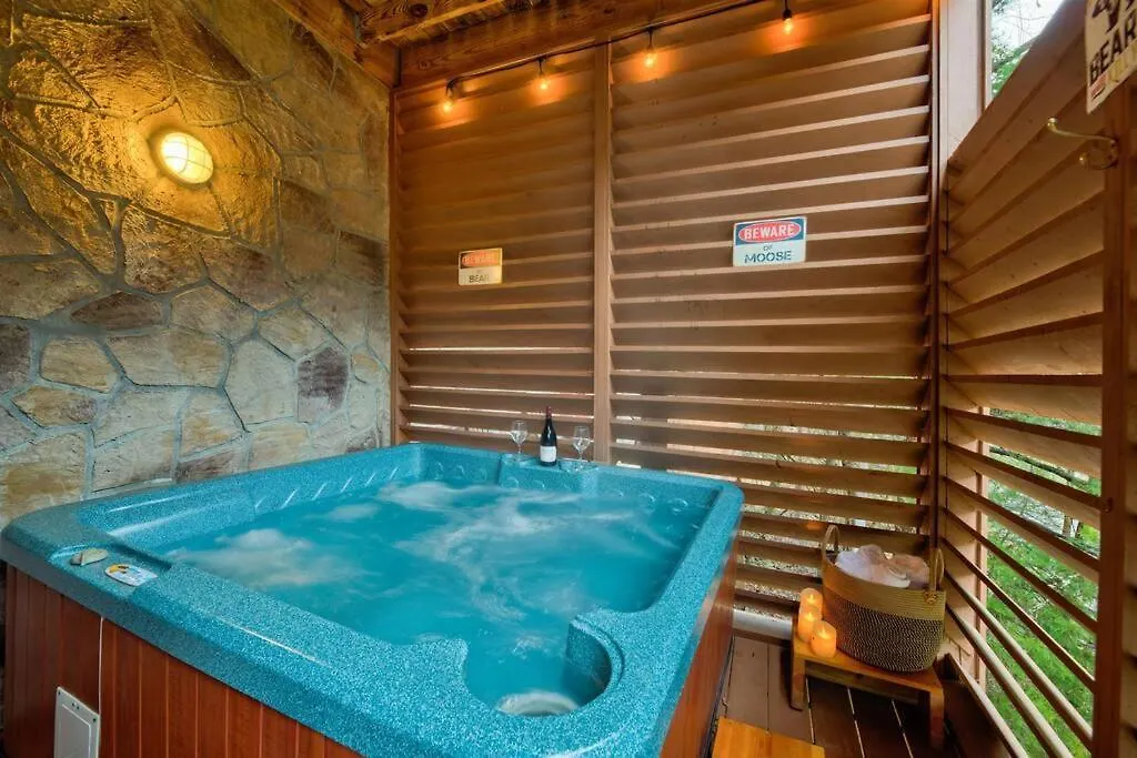 Premier Cabin - Golden Tee, Arcade, Location! Chalet *