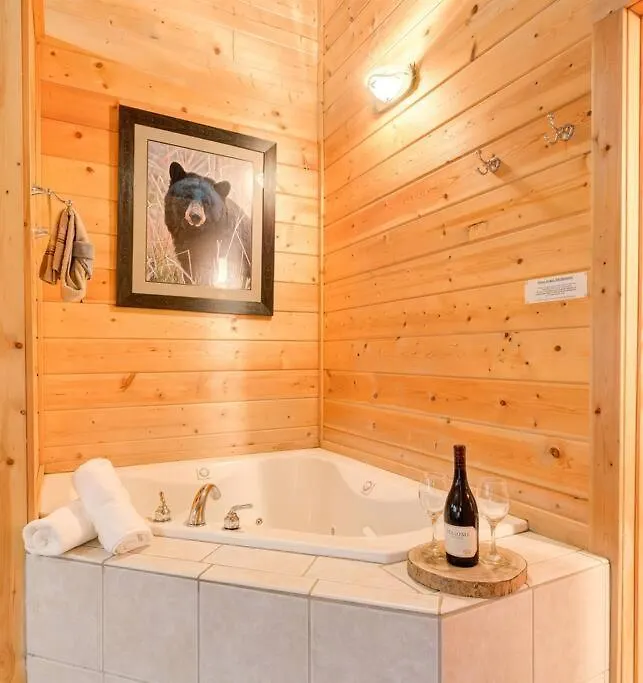 Premier Cabin - Golden Tee, Arcade, Location! Chalet *