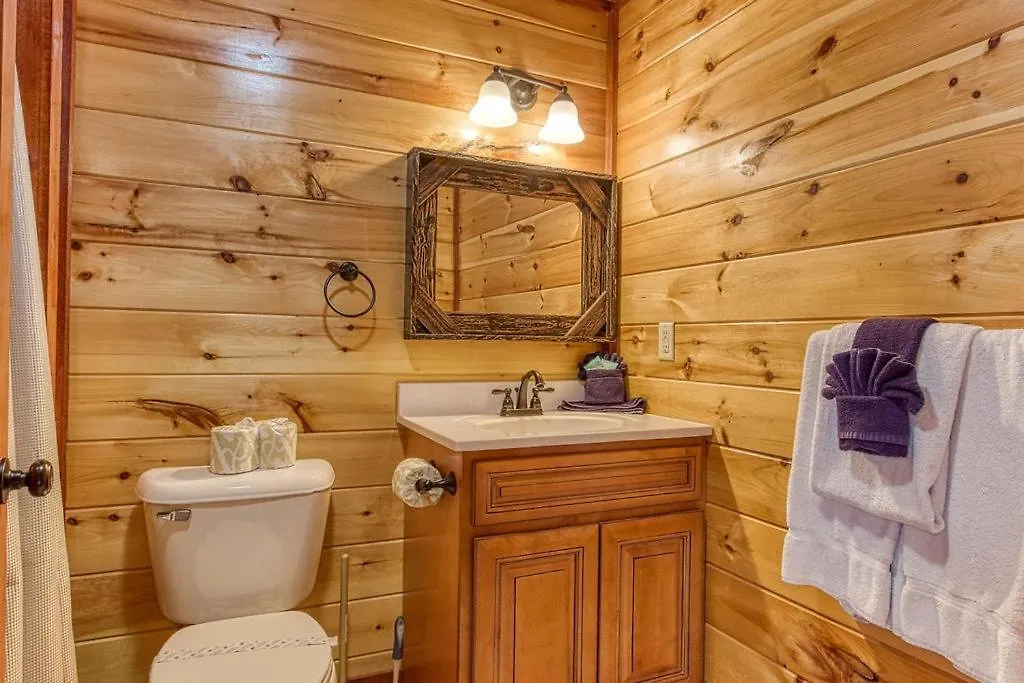 Mountain Splash, Private Pool, Theater Room, 1089 Free Tickets Each Paid Day, Dollywood And Holiday home