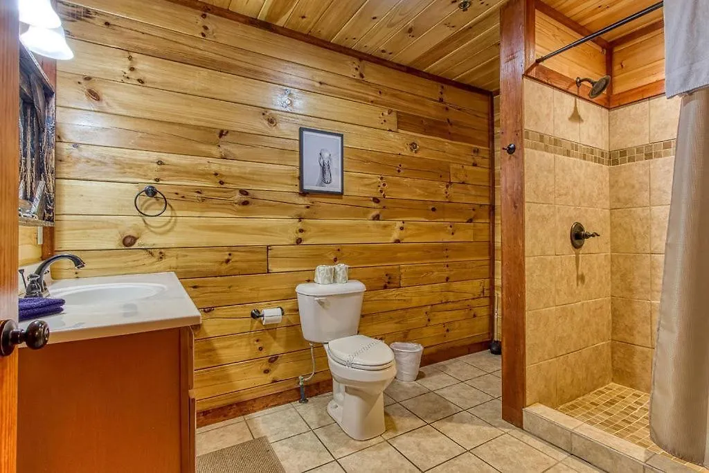 Mountain Splash, Private Pool, Theater Room, 1089 Free Tickets Each Paid Day, Dollywood And