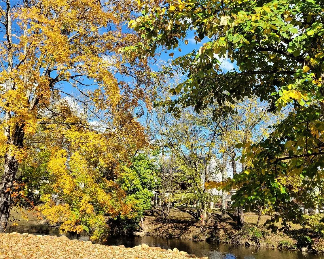 Hanky Panky-1 Bedroom On The River Pet Friendly With Fee Free Activity Tickets!