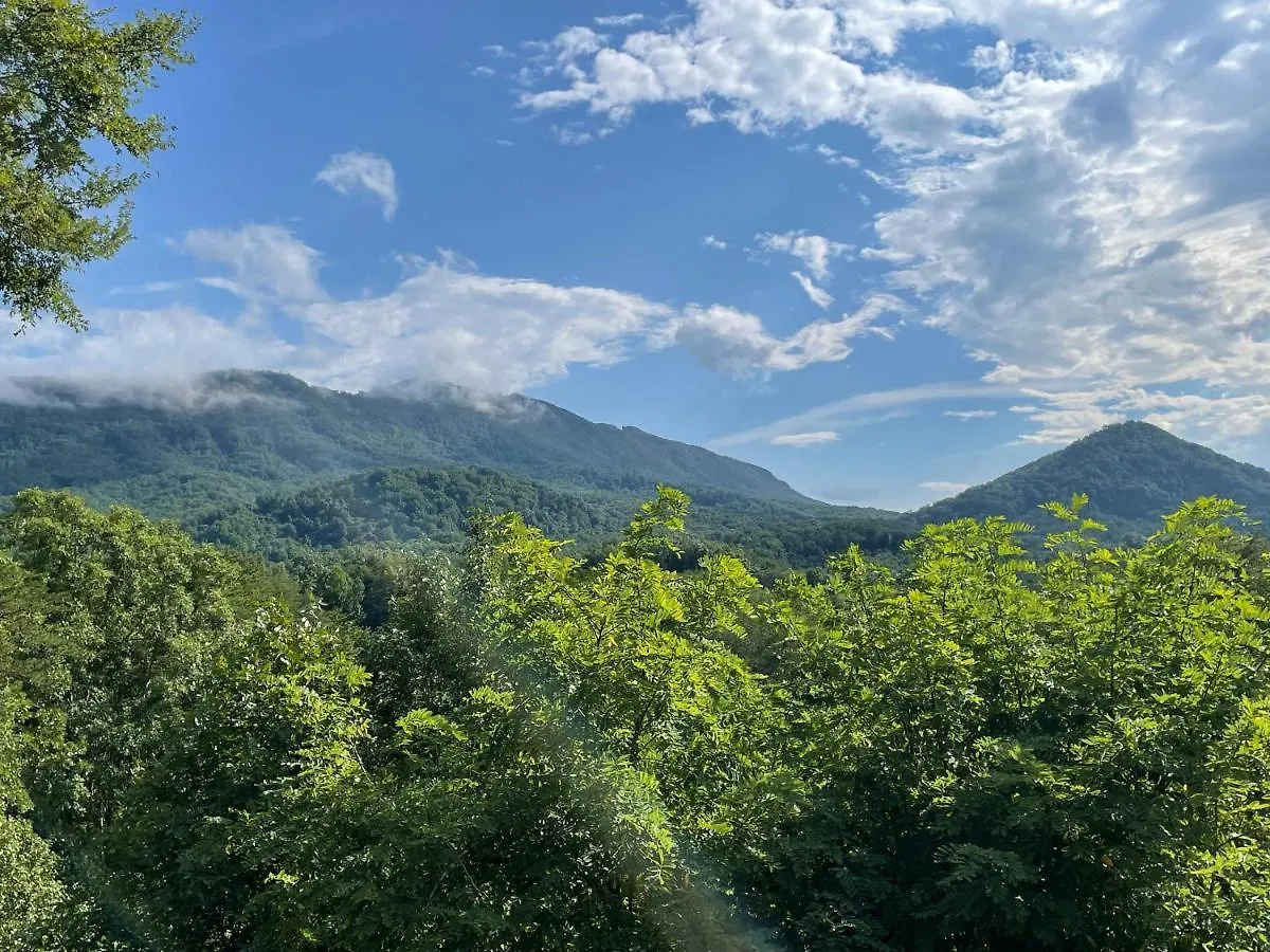 Bear Doodle Sevierville