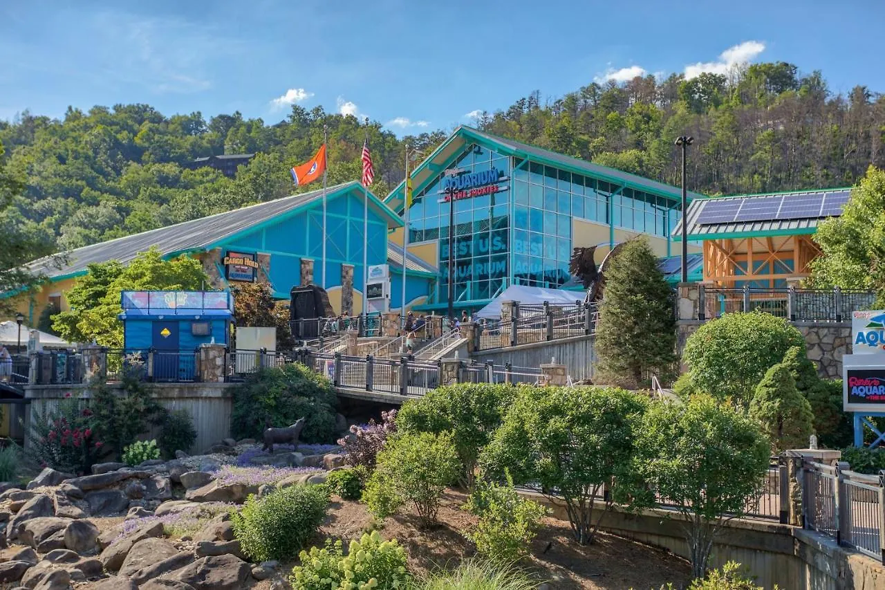 Mountain Haven: Dual Hot Tubs & Entertainment Hub
