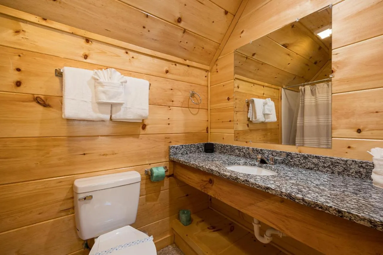 Mountain Haven: Dual Hot Tubs & Entertainment Hub Apartment Pigeon Forge