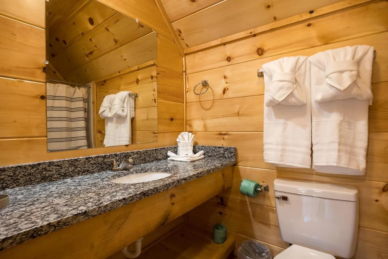 Apartment Mountain Haven: Dual Hot Tubs & Entertainment Hub