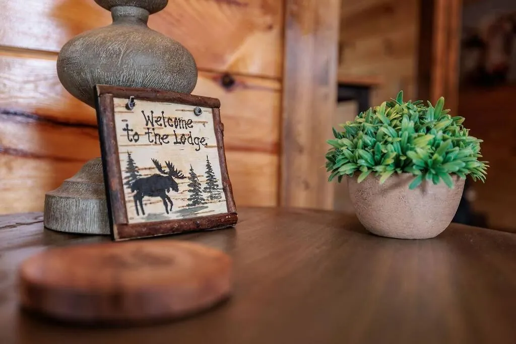 Shelter Me - 5 Miles To Dollywood , Hot Tub, Wi-fi, Game Holiday home Pigeon Forge