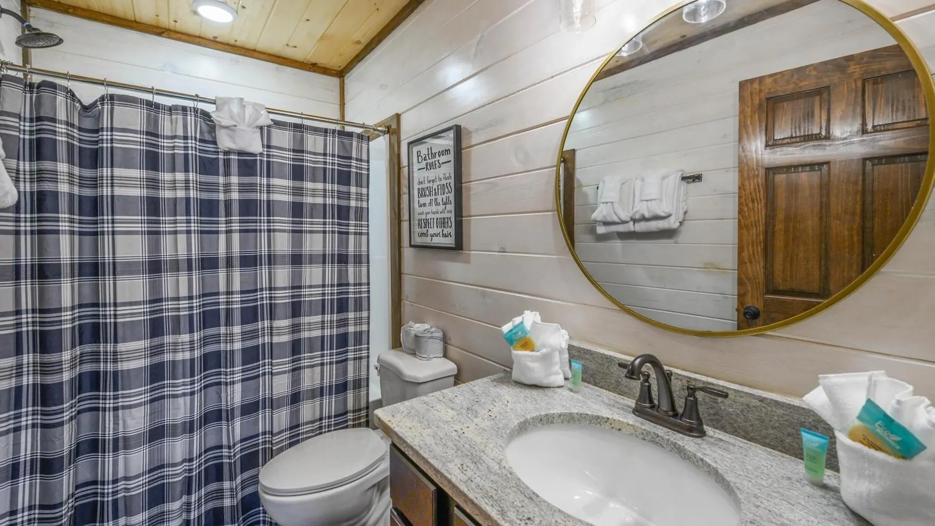 Osprey Nest Modern New Pigeon Forge