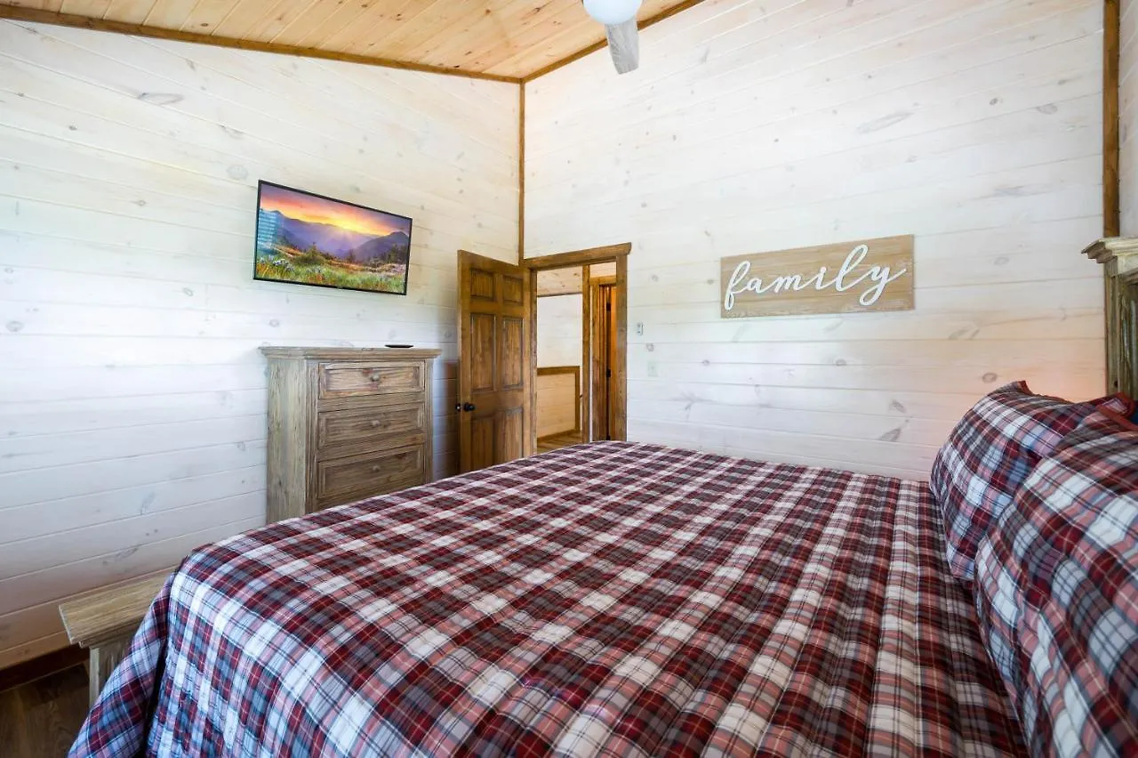 Osprey Nest Modern New Pigeon Forge