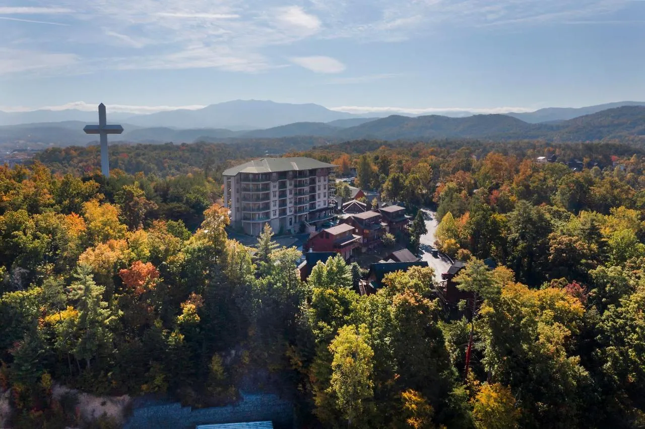 The Bear Paw Palace Mtn View And Community Pools