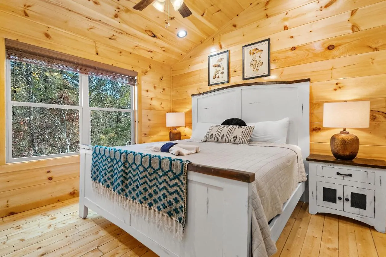 Pine Mountain Retreat, Hot Tub, Game Room, 1089 Free Tickets Each Paid Day, Dollywood And Pigeon Forge