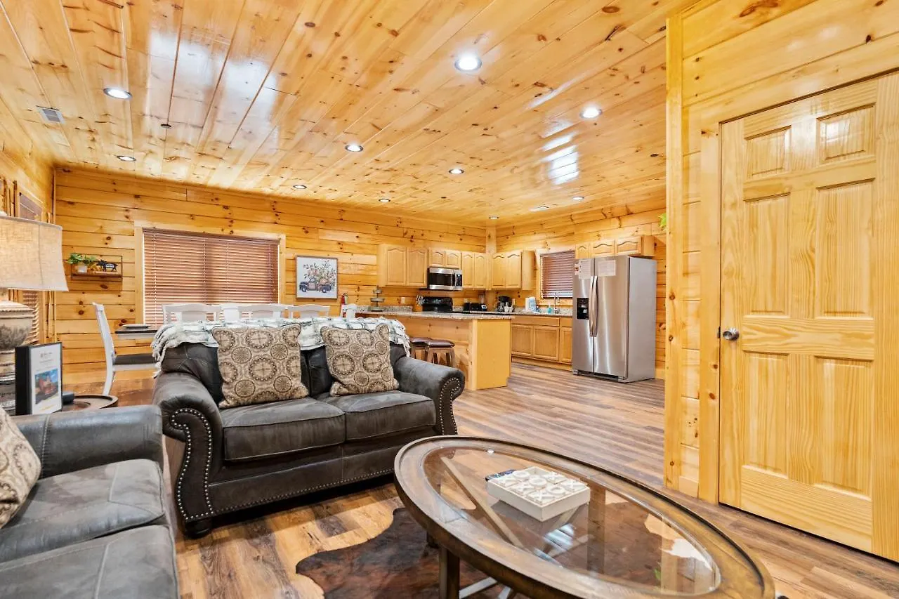 Pine Mountain Retreat, Hot Tub, Game Room, 1089 Free Tickets Each Paid Day, Dollywood And