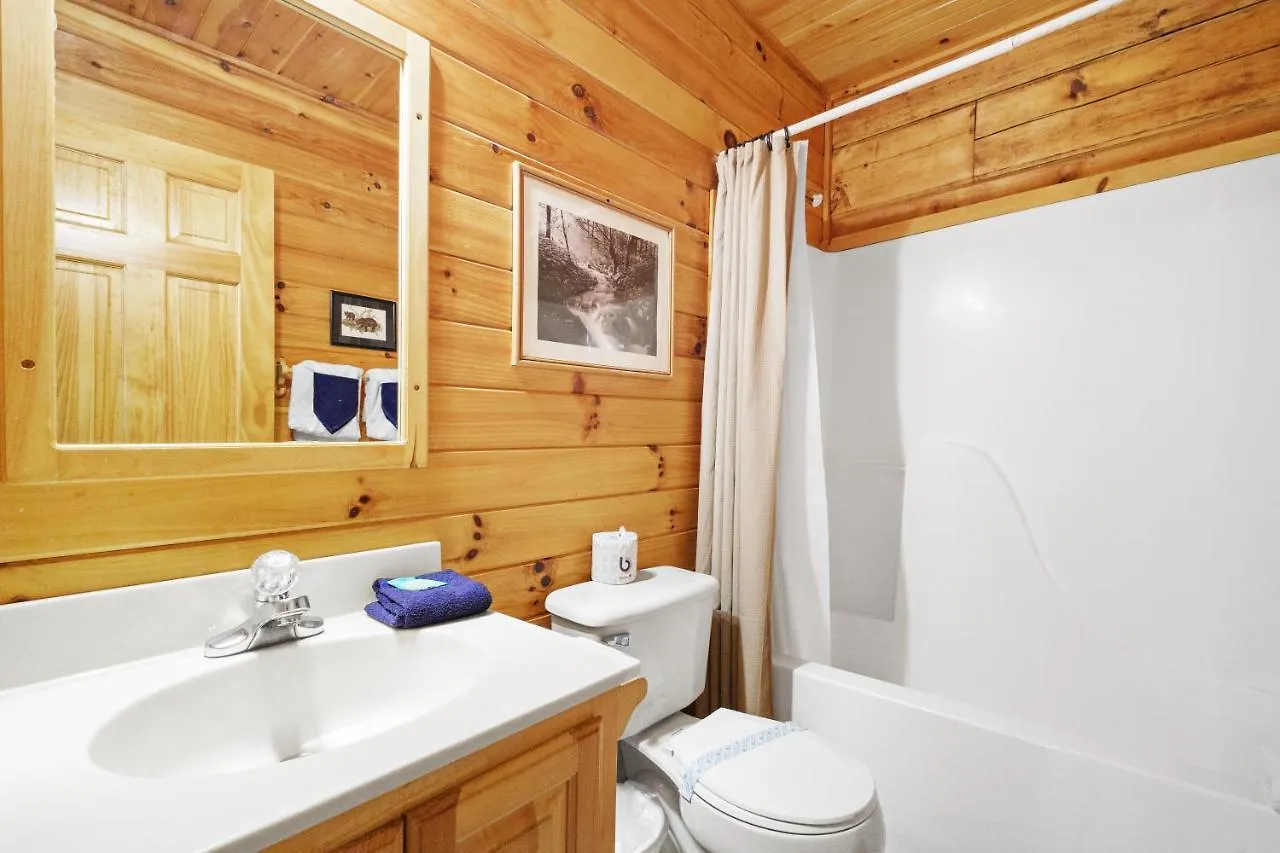 Tatil Evi The Honey Pot, Hot Tub, Pool, 1089 Free Tickets Each Paid Day, Dollywood And Pigeon Forge