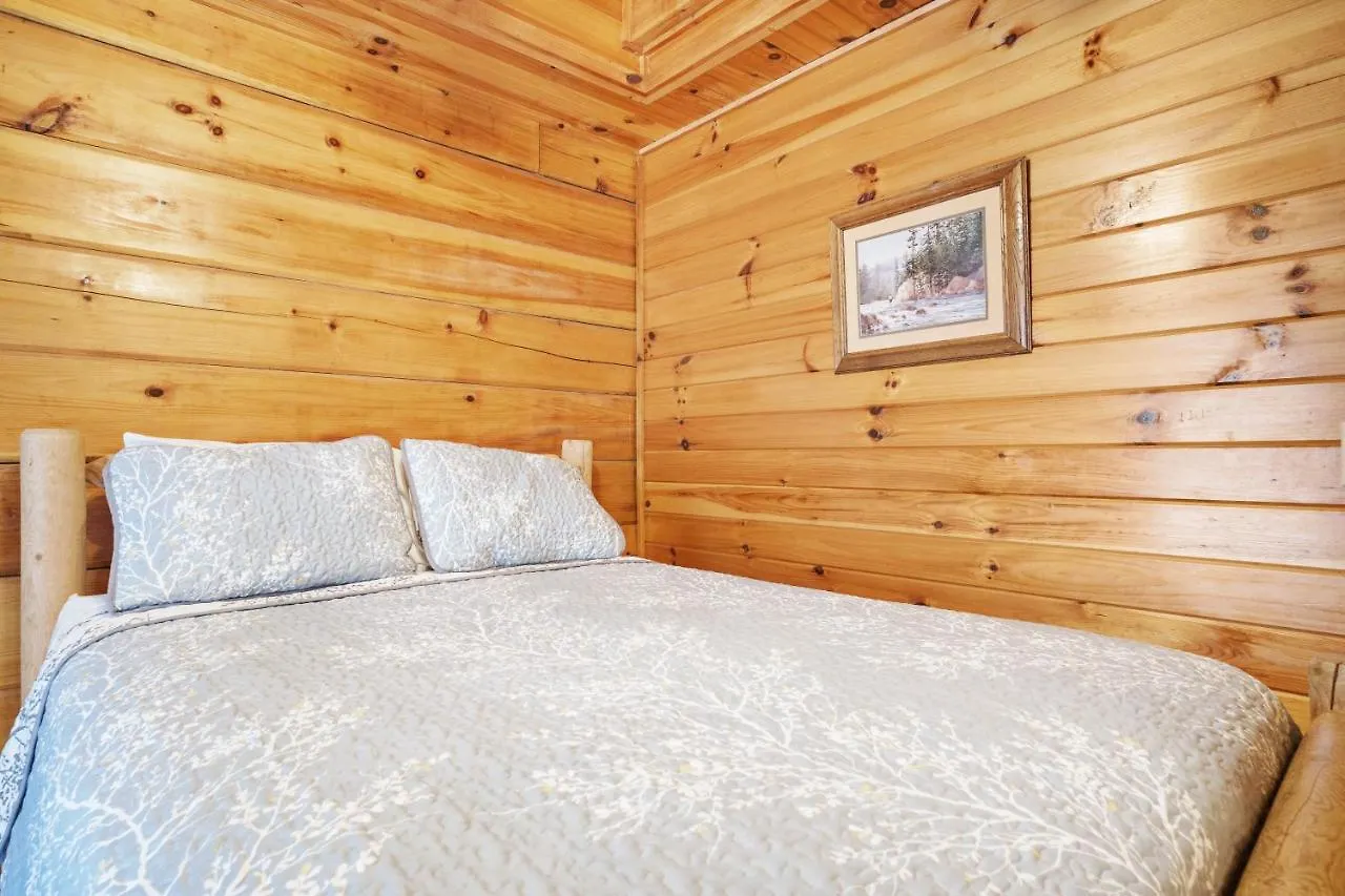 The Honey Pot, Hot Tub, Pool, 1089 Free Tickets Each Paid Day, Dollywood And Tatil Evi